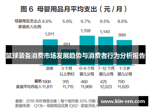 篮球装备消费市场发展趋势与消费者行为分析报告