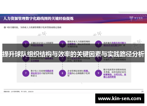 提升球队组织结构与效率的关键因素与实践路径分析
